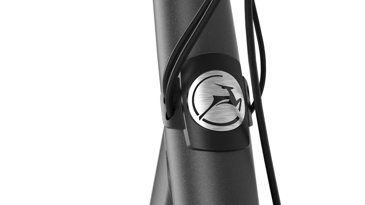 Gazelle Paris C7+ HMB Dames 2024